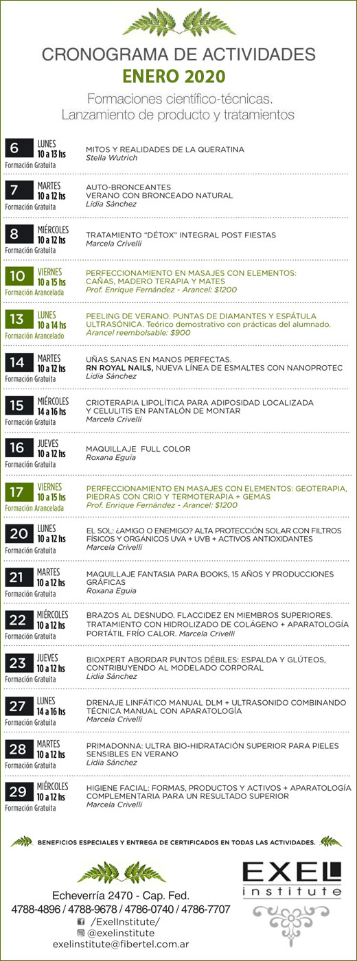 EXEL INSTIUTE: PROGRAMACION ENERO 2020