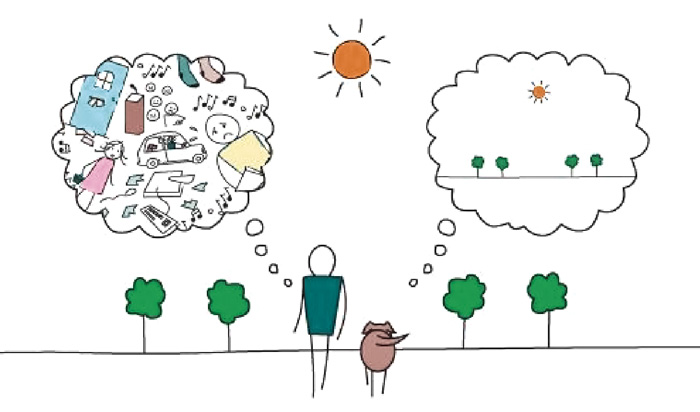 MINDFULNESS
