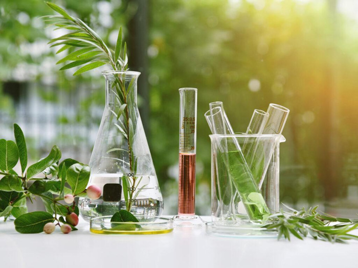Usos terapéuticos de los aceites esenciales