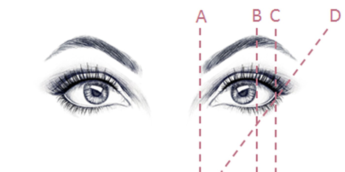 Informe sobre cejas