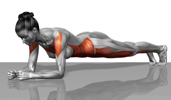 GYM ISOMETRICA