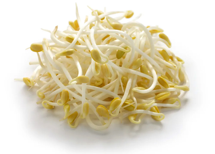 BROTES DE SOJA