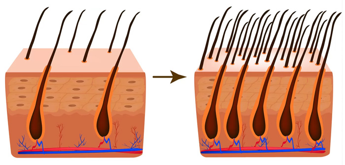 BIOTINA