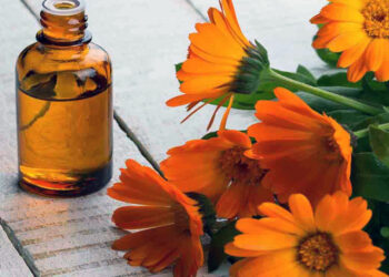 La caléndula, una flor que protege la piel