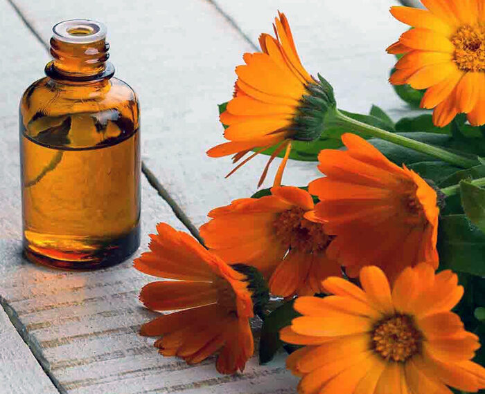 La caléndula, una flor que protege la piel