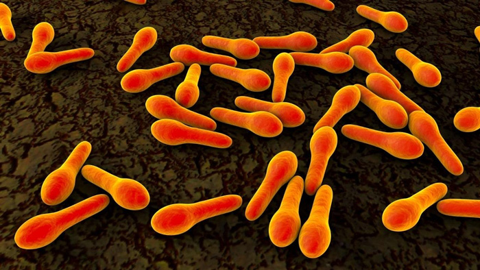 TOXINA BOTULINICA
