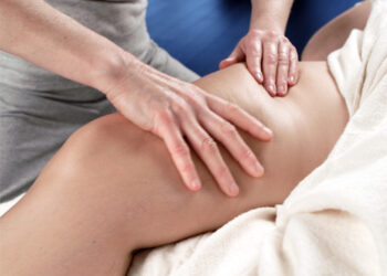 Modelación por termolipólisis