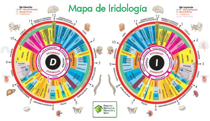 Iridología