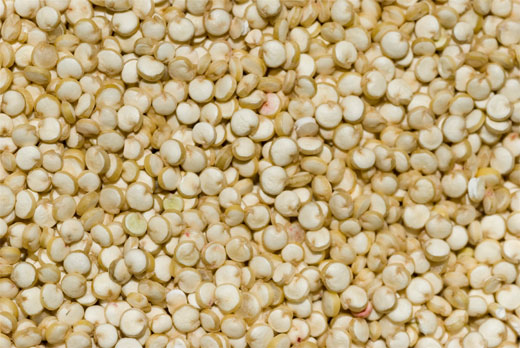 QUINOA