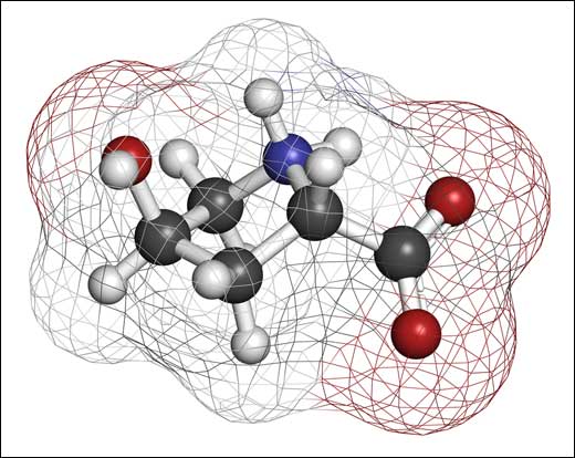 COLAGENO