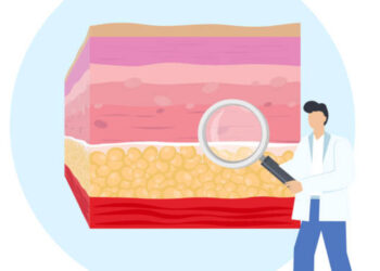 Fisiología de la piel