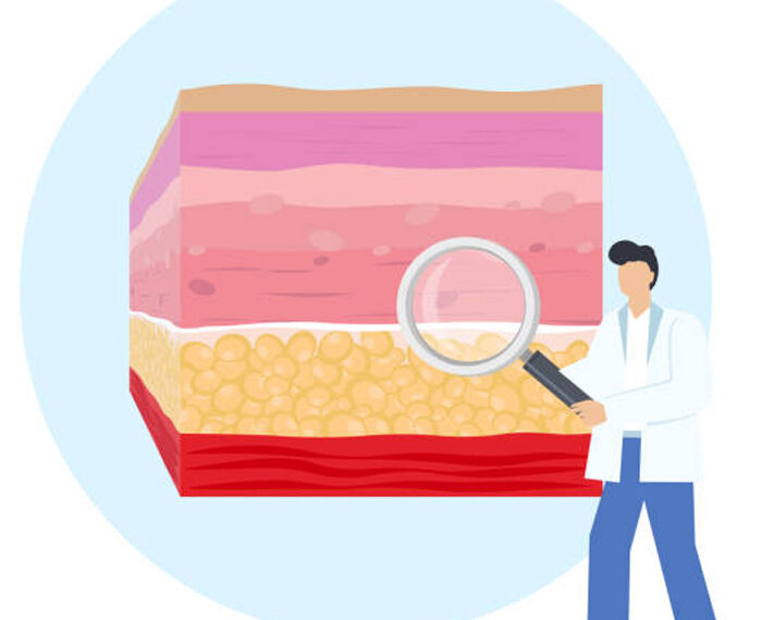 Fisiología de la piel