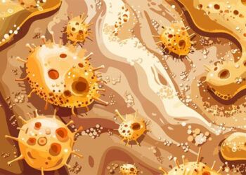 Comprendiendo la queratinización: fundamentos e impacto en la salud cutánea