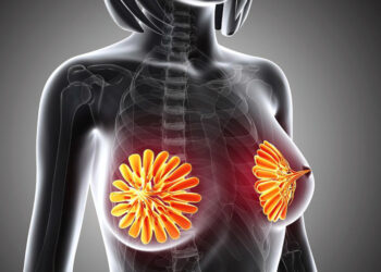 ANATOMIA DE LOS SENOS