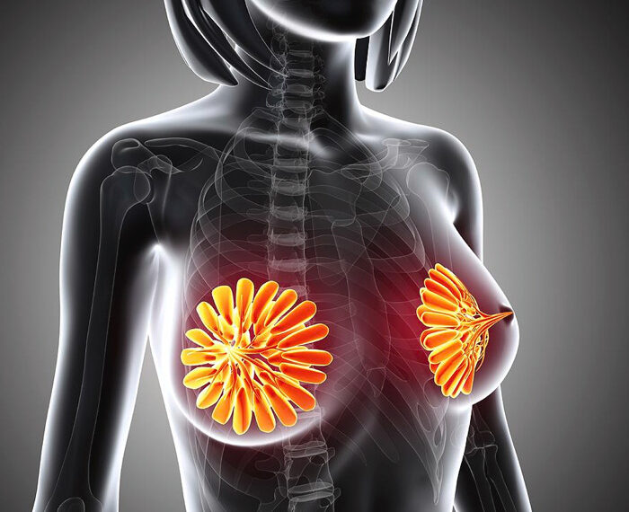 ANATOMIA DE LOS SENOS