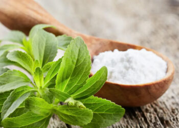 STEVIA