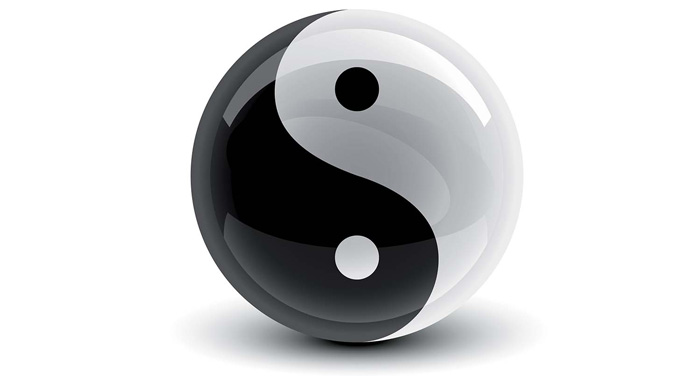 YI Y YANG